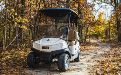 New Golf Carts